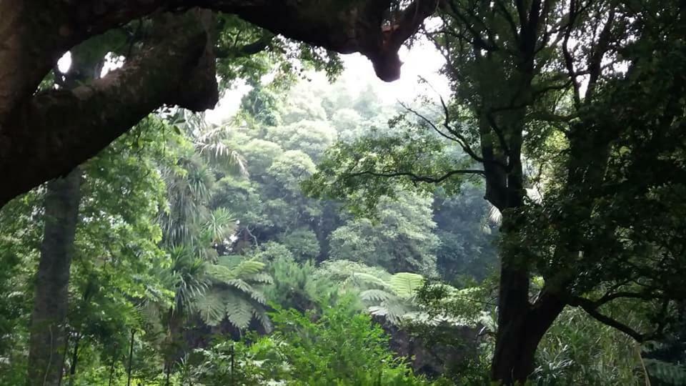 Casa Das Lapinhas Lagoa  Dış mekan fotoğraf
